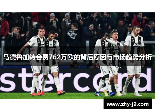 马德鲁加转会费762万欧的背后原因与市场趋势分析
